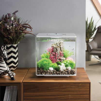 CUBE 30 Aquarium MCR LED - White