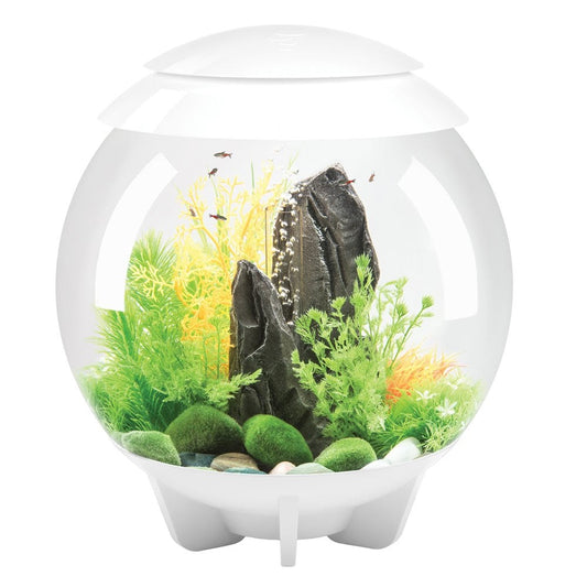 HALO 30 Aquarium MCR LED - White