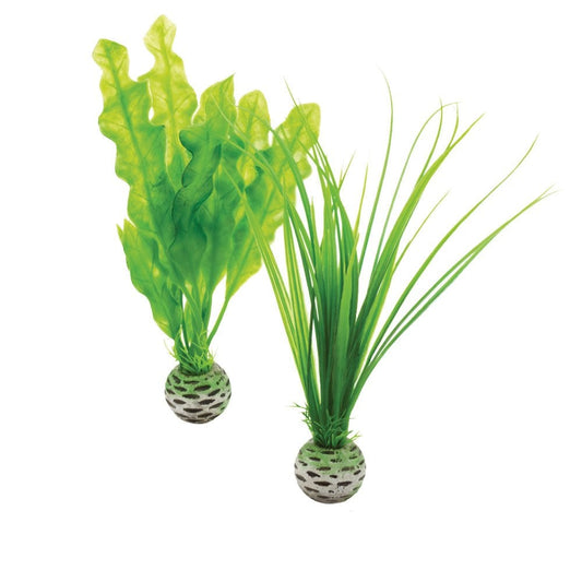 Easy Plants - Small