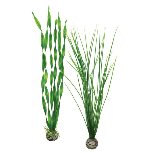 Easy Plants - Large