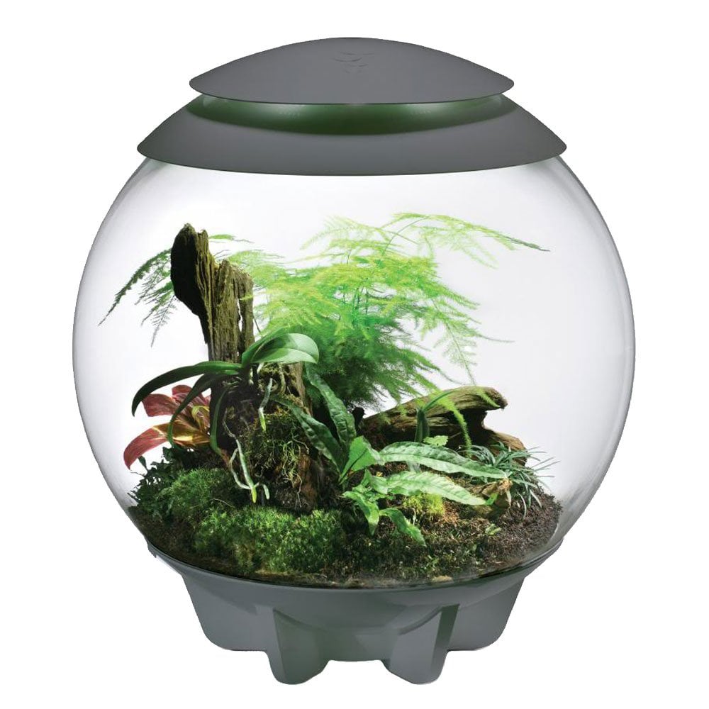 Air 60 Terrarium - Grey