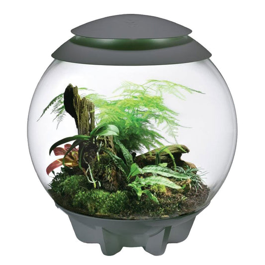 Air 60 Terrarium - Grey