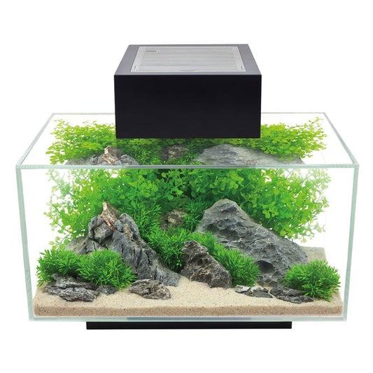 Edge 2.0 Aquarium 23L - Gloss Black