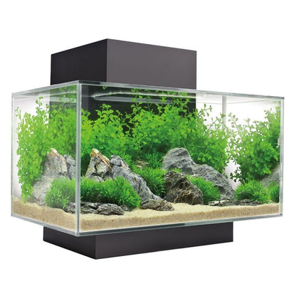 Edge 2.0 Aquarium 23L - Gloss Black