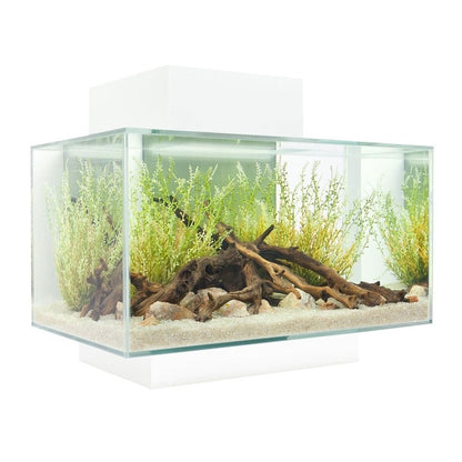 Edge 2.0 Aquarium 23L - Gloss White