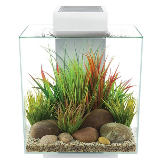 Edge 2.0 Aquarium 46L - Gloss White