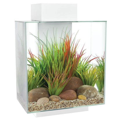 Edge 2.0 Aquarium 46L - Gloss White