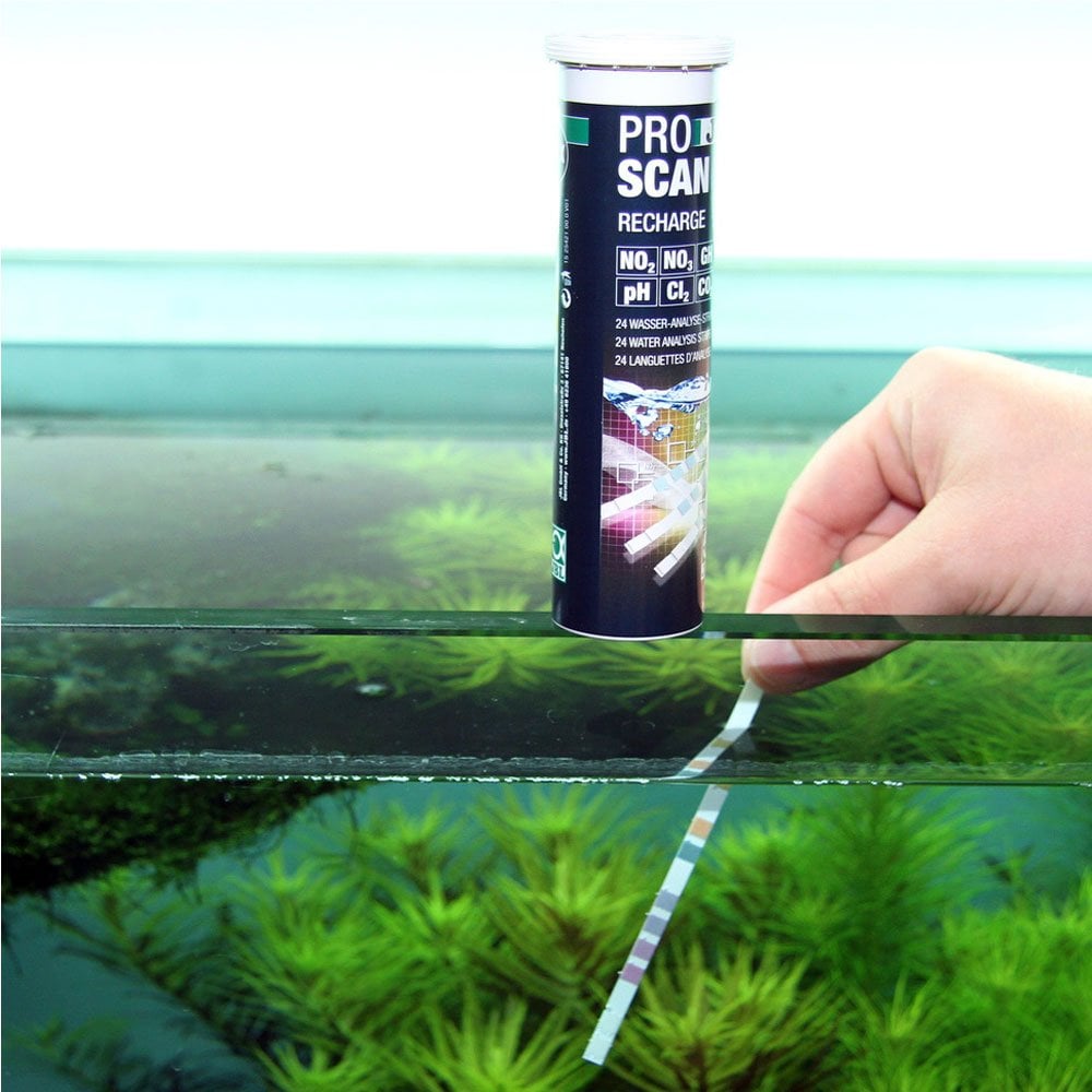 ProScan Recharge Refill Test Strips