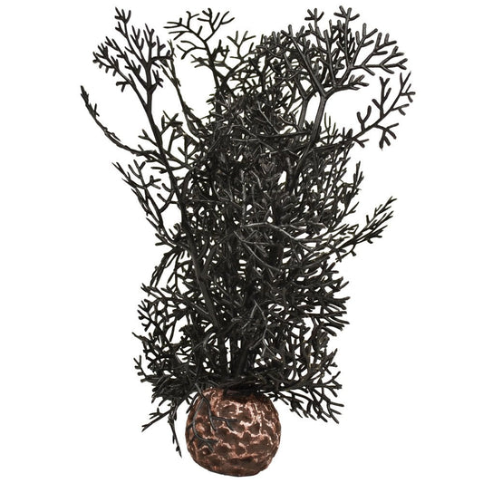 Black Sea Fan - Small