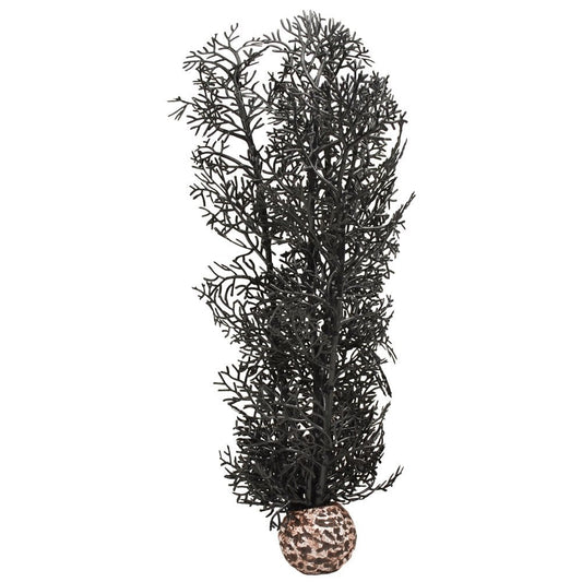 Black Sea Fan - Medium