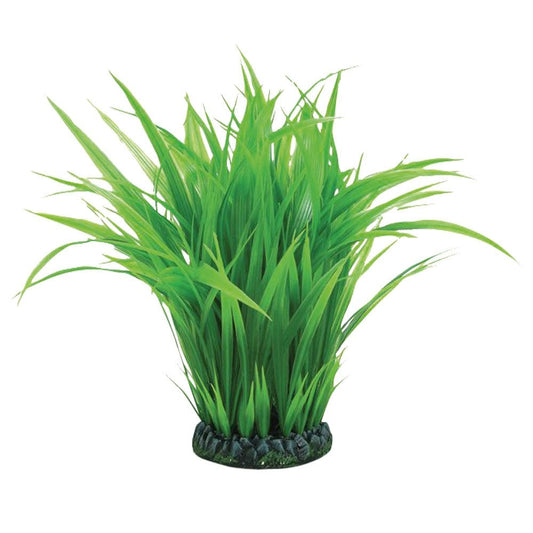 Grass Ring - Large