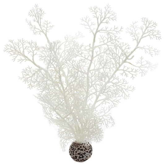 White Sea Fan - Medium