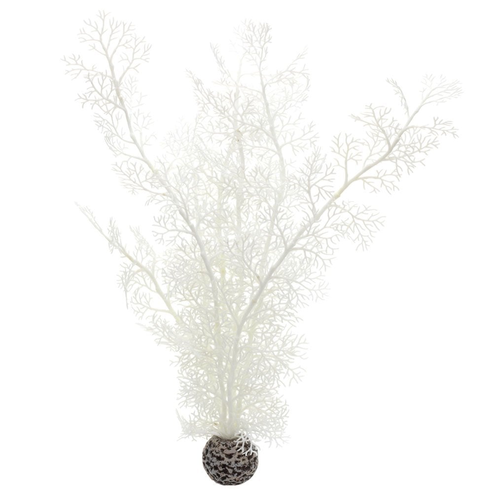 White Sea Fan - Large