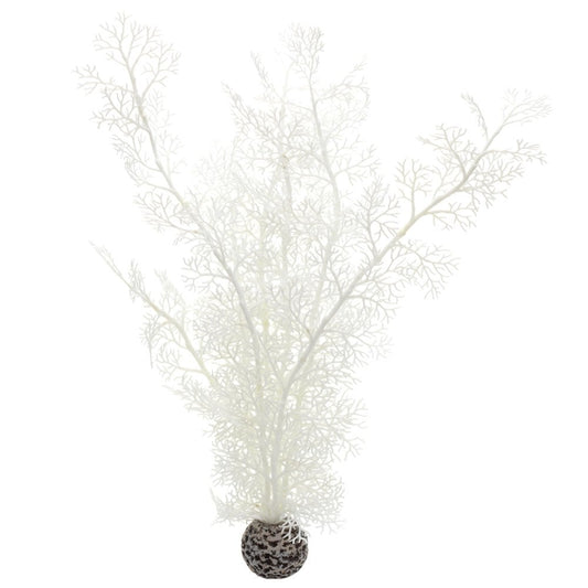 White Sea Fan - Large