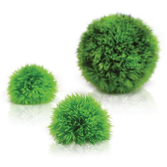 Aquatic Topiary