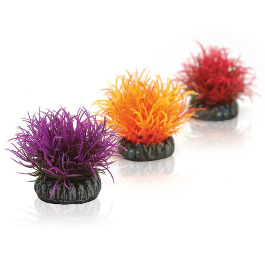 Small Colour Balls