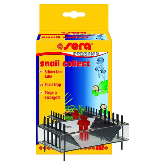 Snail Collect
