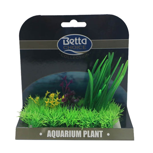 Medium Plant Mat - Green & Purple