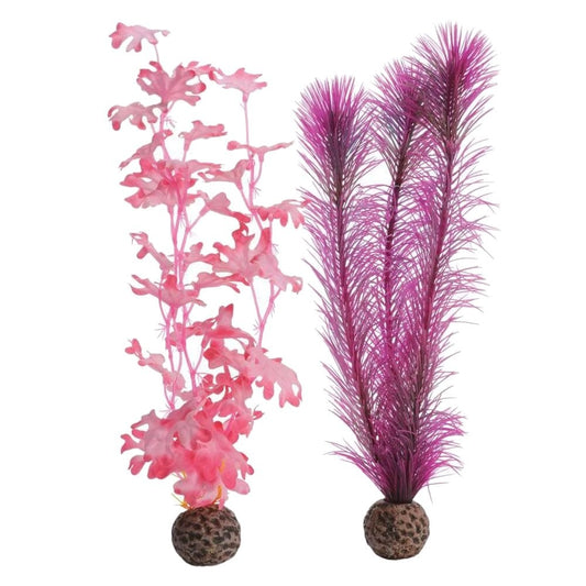Pink Kelp - Medium