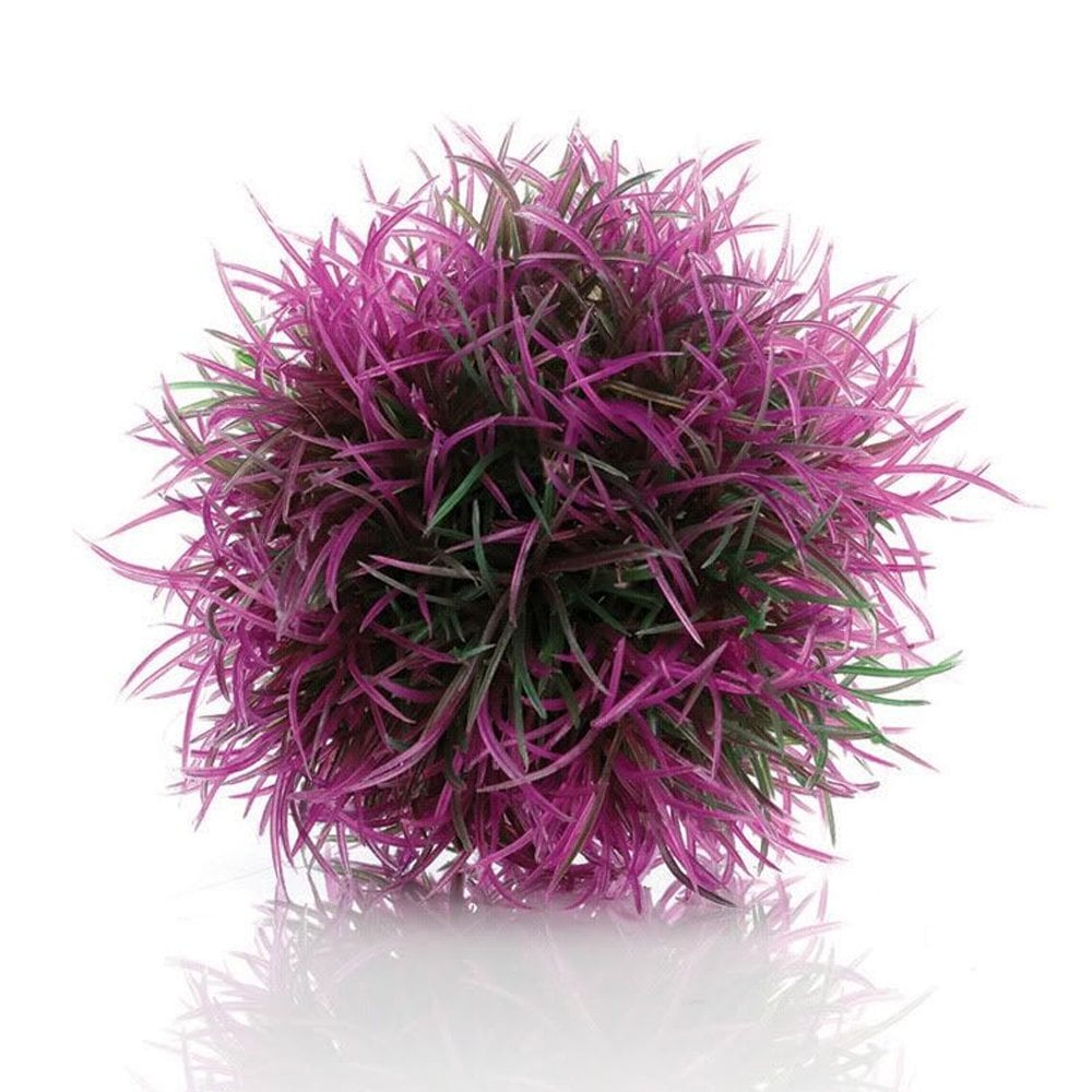 Colour Ball Purple
