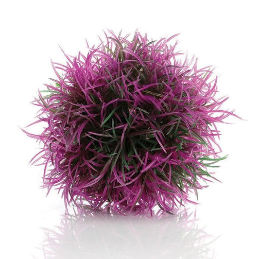 Colour Ball Purple
