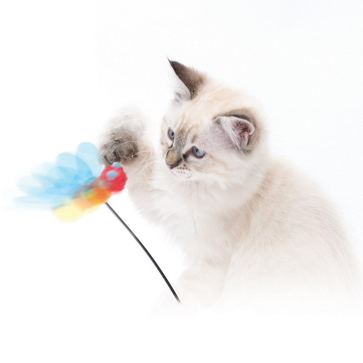 Play Spinning Bee