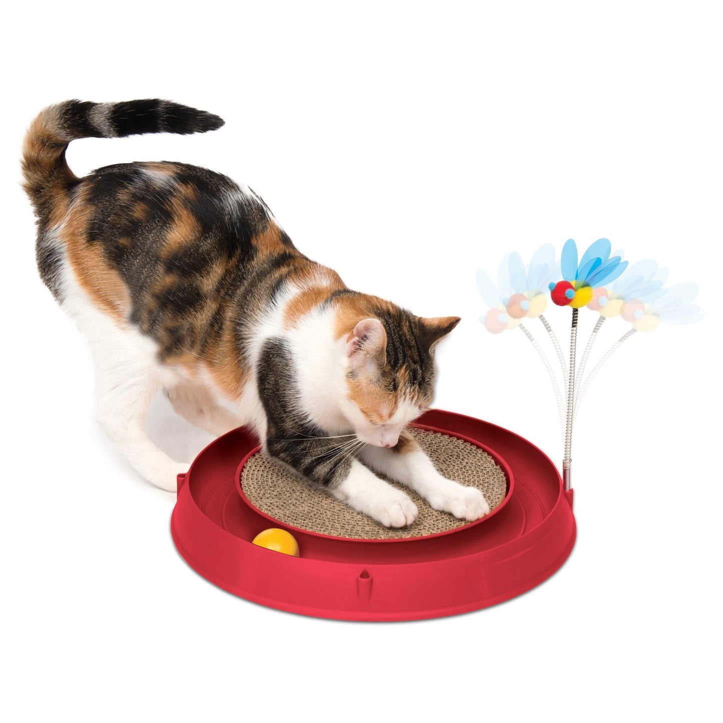 Play Circuit Ball Toy With Scratch Pad