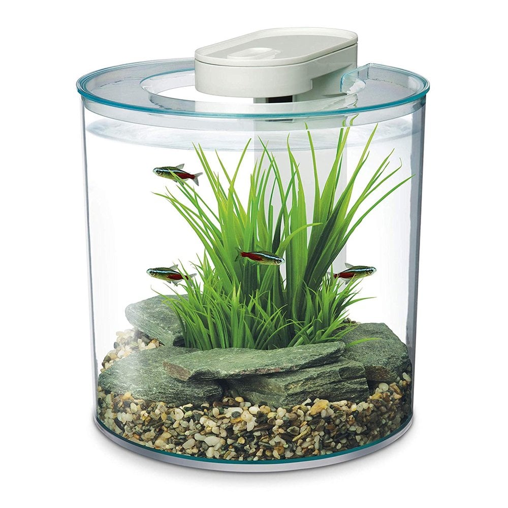 360 Aquarium 10L
