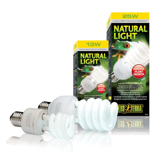 Natural Light Compact Lamps