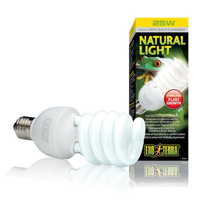 Natural Light Compact Lamps