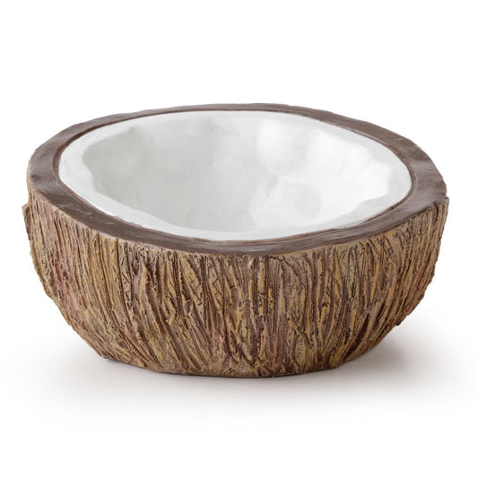 Coconut Water Dish