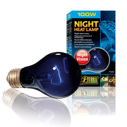 Night Heat Lamps
