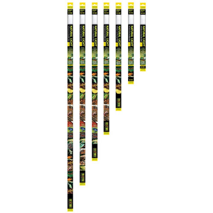 Natural Light Tubes