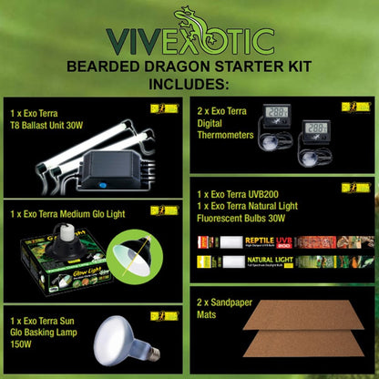 Bearded Dragon Starter Kit - Oak