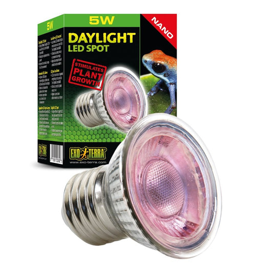 Daylight LED Spot Nano 5w
