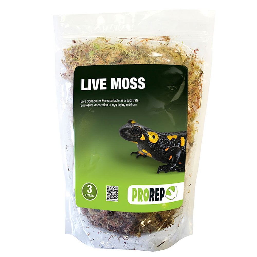 Live Moss