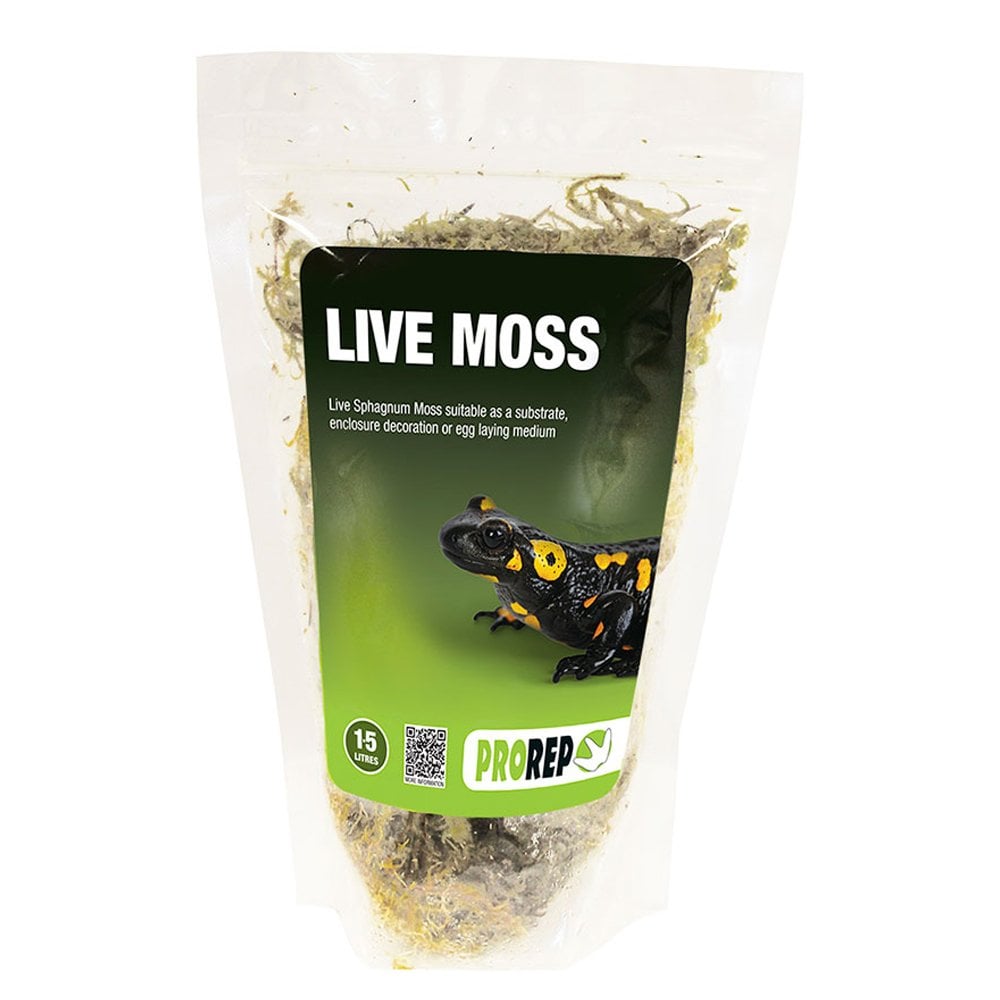 Live Moss