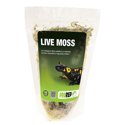 Live Moss