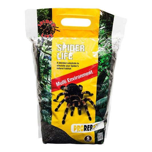 Spider Life Substrate