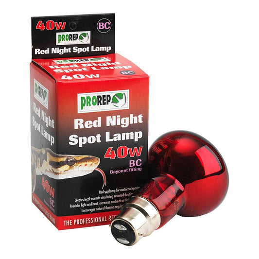 Red Night Spot Lamps BC