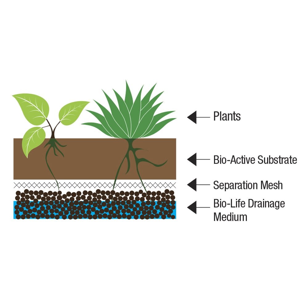 Bio Life Forest Substrate 10Ltr