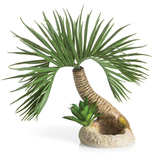 Palm Tree Seychelles Ornament - Small