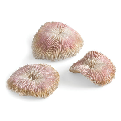 Plate Coral Set