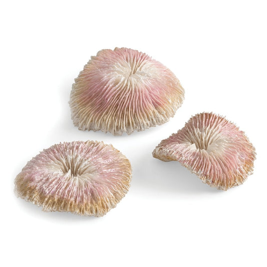 Plate Coral Set