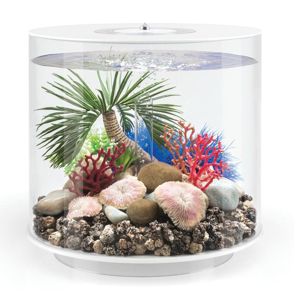 Biorb Plate Coral Set Pond Planet