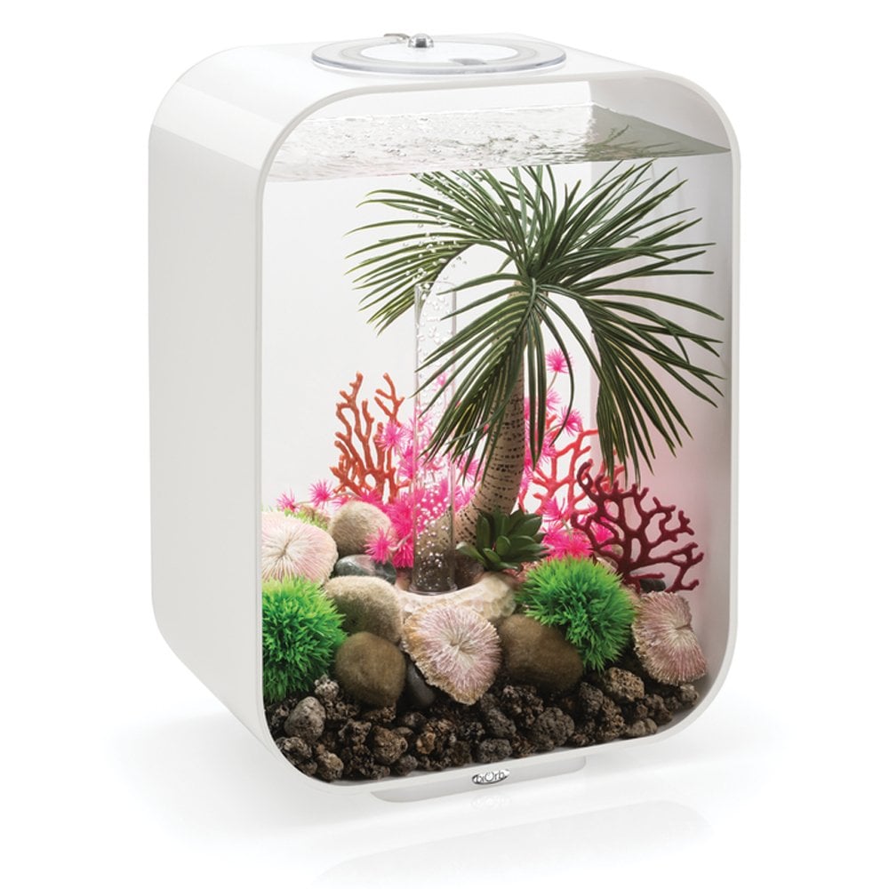 Palm Tree Seychelles Ornament - Large