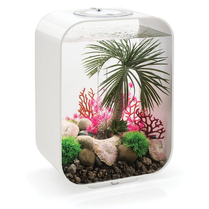 Palm Tree Seychelles Ornament - Large