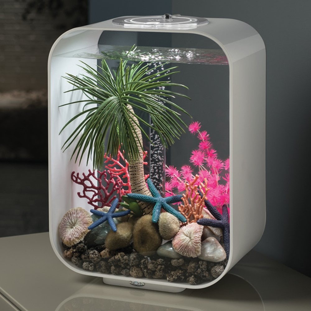 Palm Tree Seychelles Ornament - Large