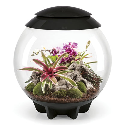 BiOrb Air 60 Terrarium - Black