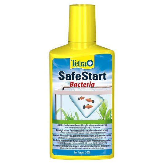 SafeStart